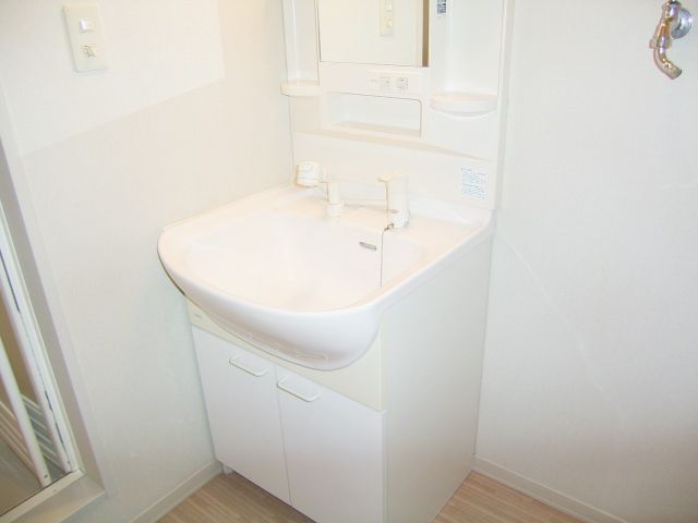 Washroom. Shampoo dresser