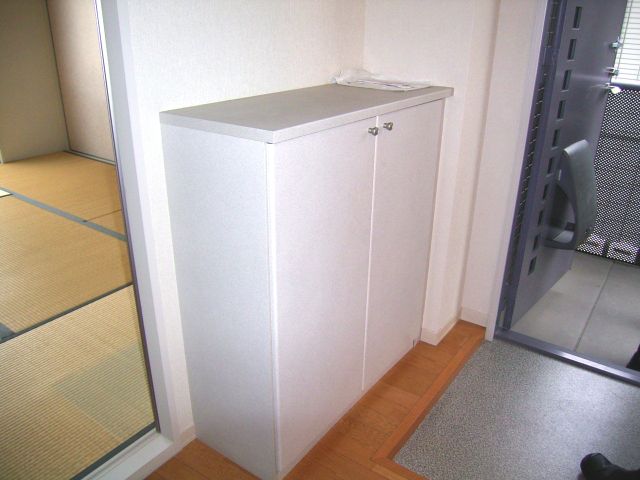 Other Equipment. Shoe box