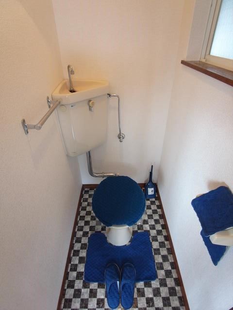 Toilet. Toilet (Model Room)