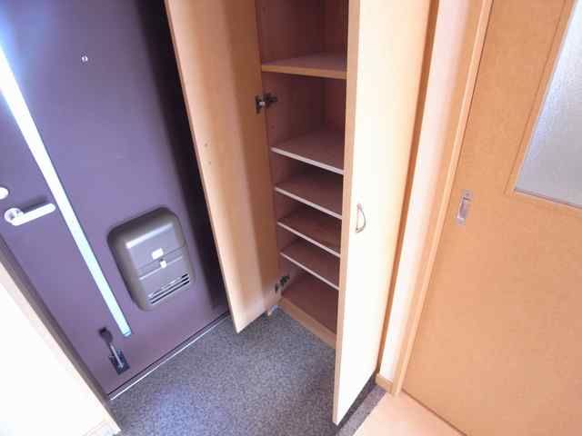 Receipt. Shoes is a box