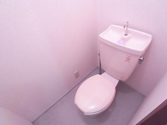 Toilet. It is a Western-style toilet.