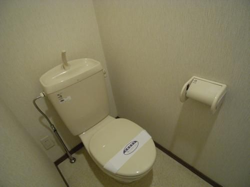 Toilet. Toilet