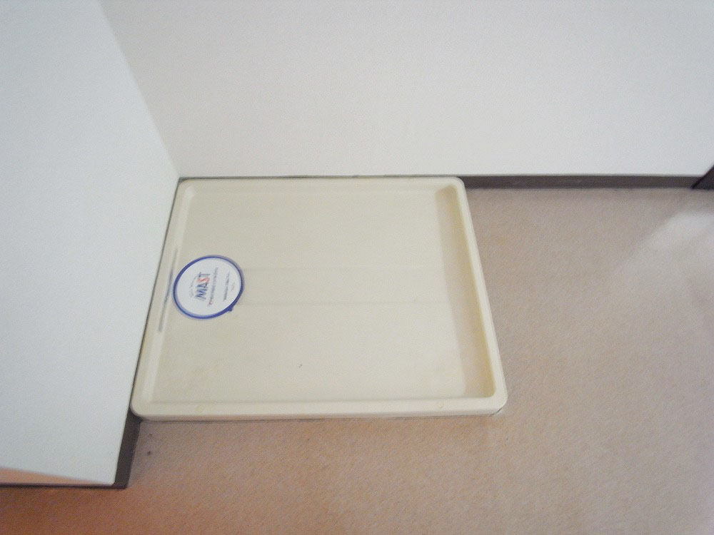 Other Equipment. Washing machine in the room