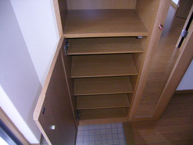 Other room space. Shoe box