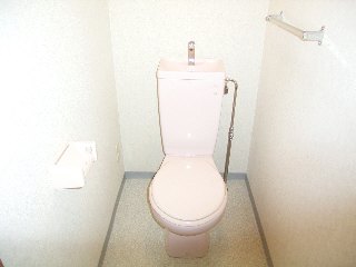 Toilet. Toilet
