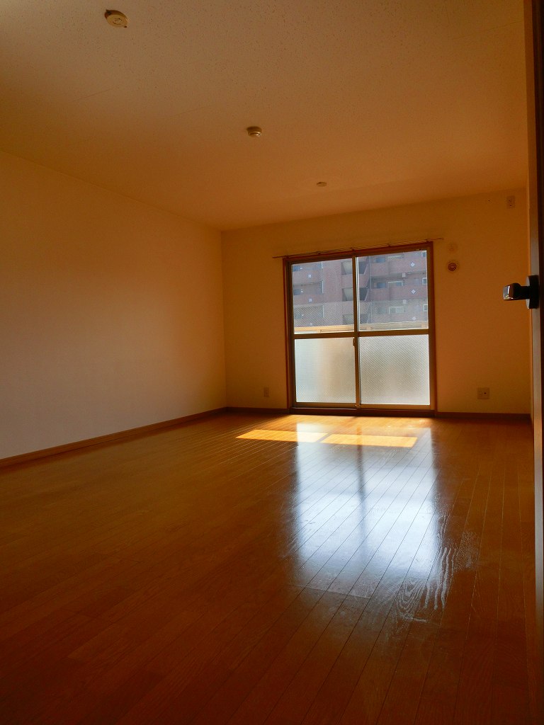 Living and room. Spacious living