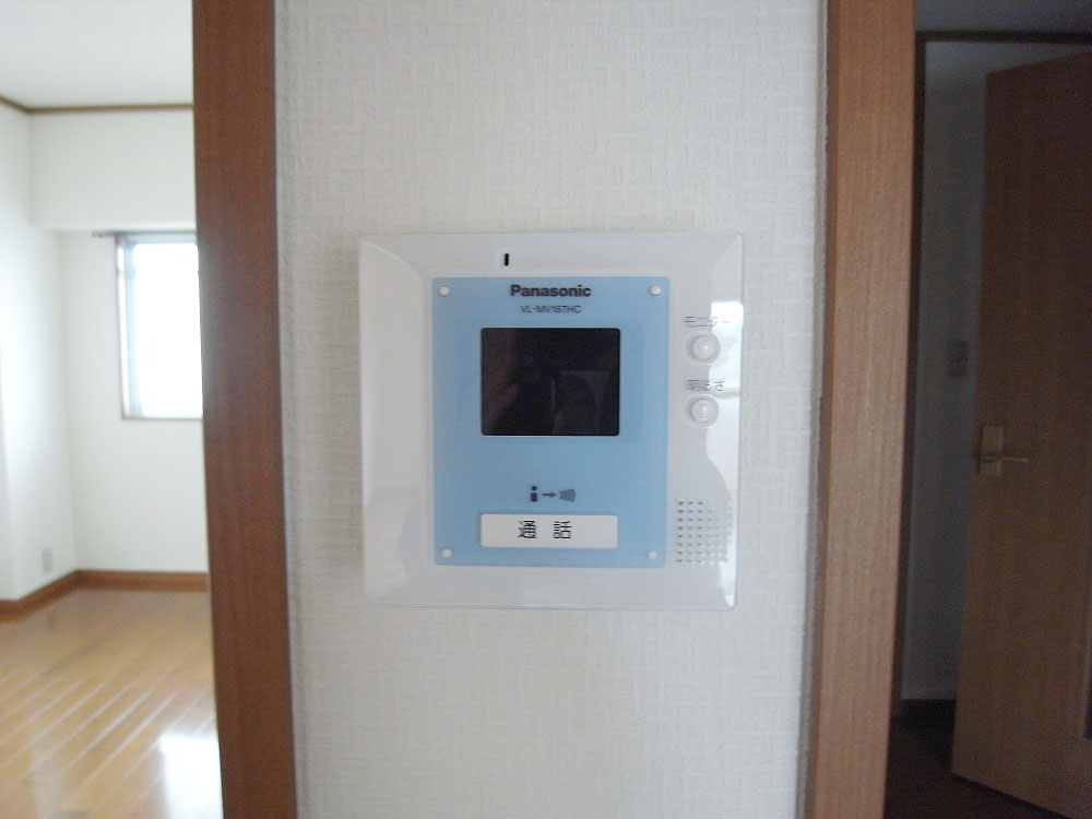 Security. TV monitor phone