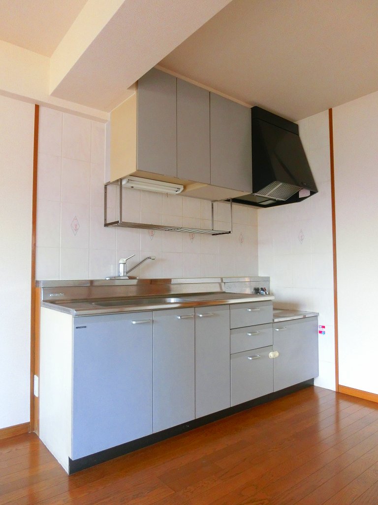 Kitchen. Gas stove installation type. It is a city gas.