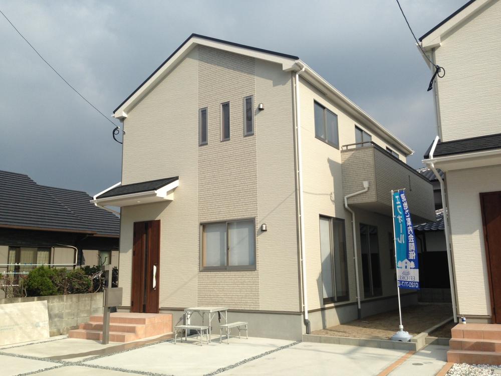 Local appearance photo. Local shooting (12 May 2013)