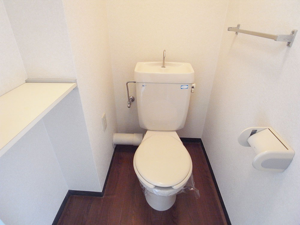 Toilet. Toilet with cleanliness