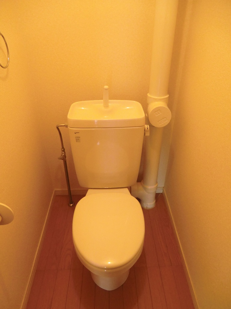 Toilet. Toilet