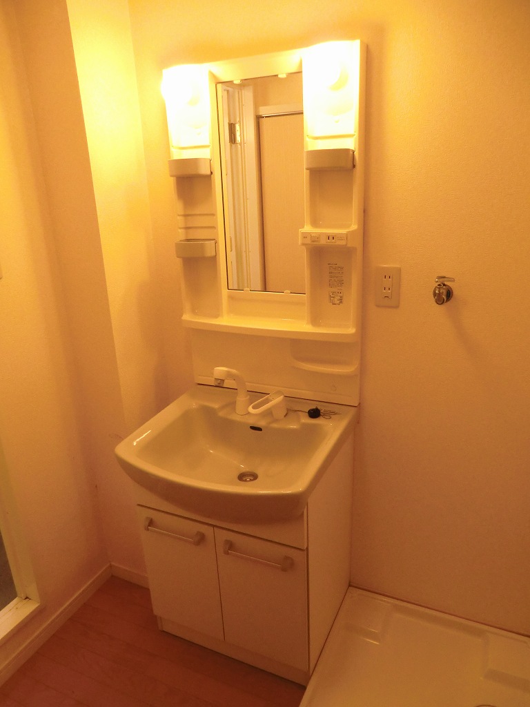 Washroom. Spacious dressing room