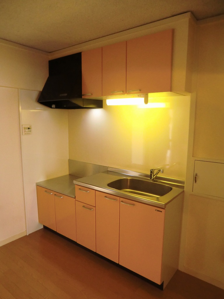 Kitchen. Renovation Property