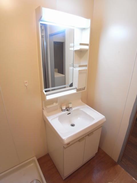 Washroom. Bathroom vanity
