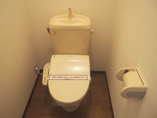 Toilet. Heating cleaning function toilet