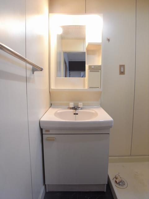 Washroom. Bathroom vanity