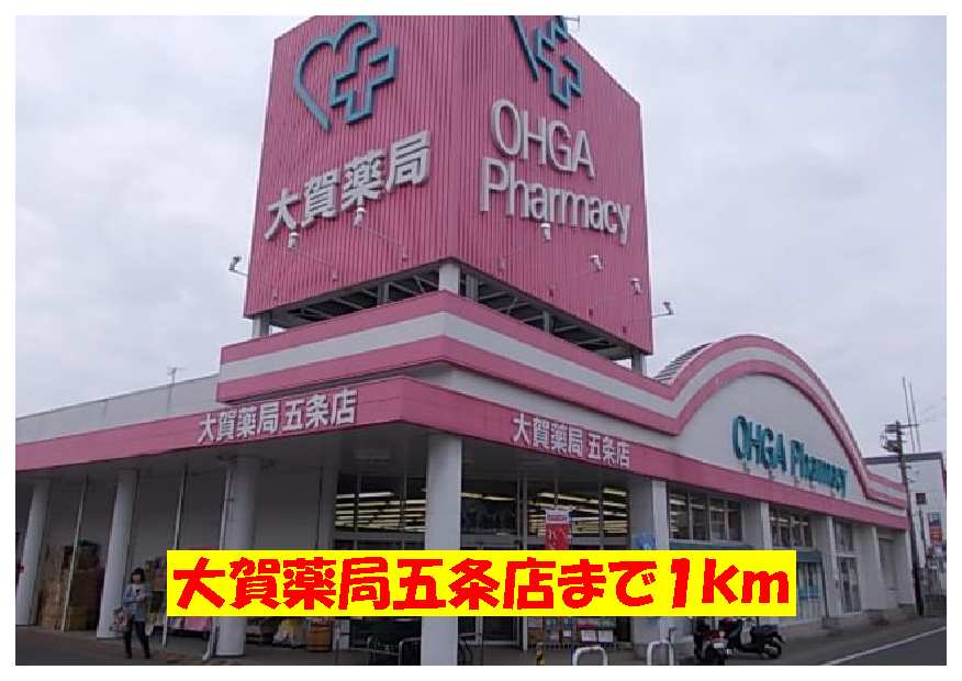 Dorakkusutoa. Oga pharmacy Gojo shop 1000m until (drugstore)