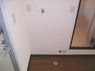 Other room space. Washing machine in the room