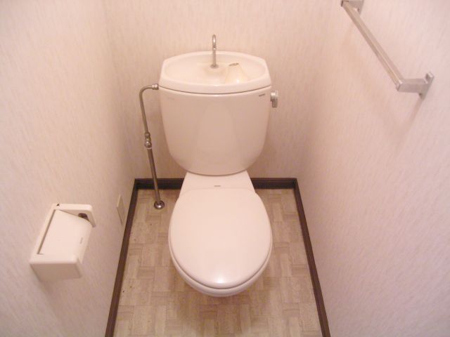 Toilet. Toilet