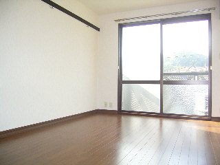 Living and room. The room