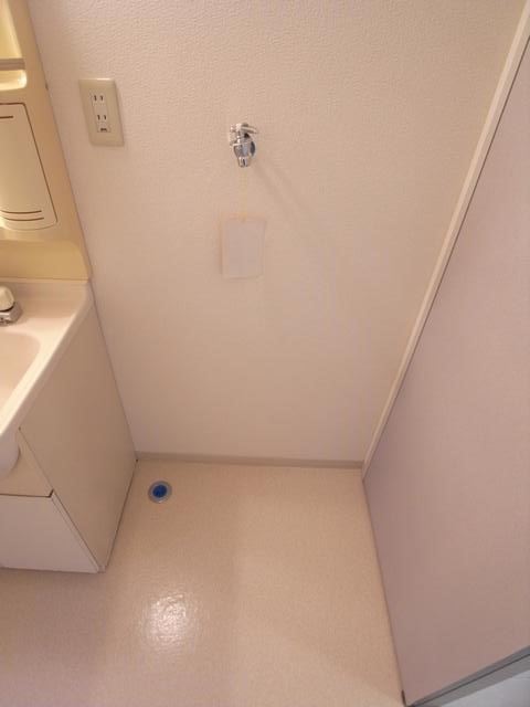 Washroom. Washing machine Storage