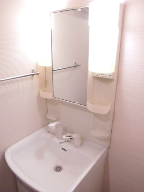 Entrance. Wash basin