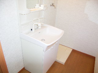 Washroom. Wash dressing room