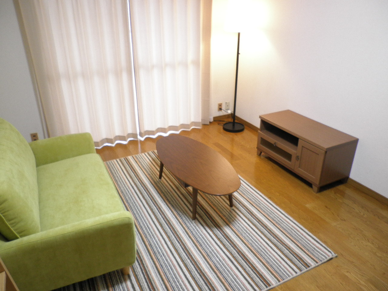 Other. It is a local model room