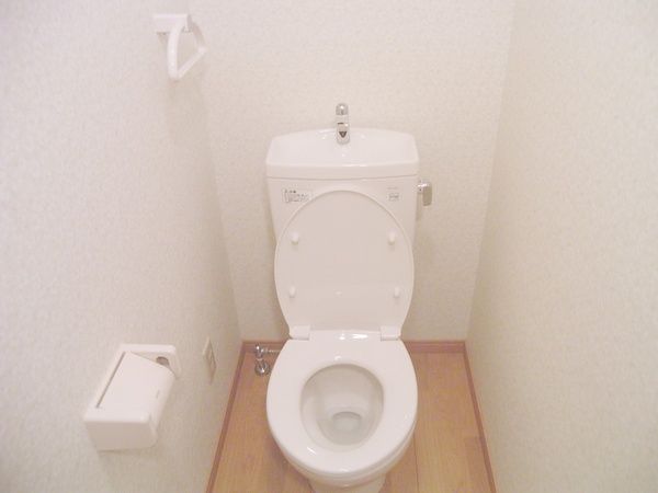 Toilet. Toilet