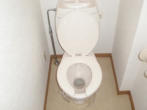 Toilet. Toilet
