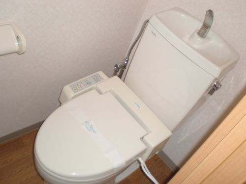 Toilet. Bathroom with a shower