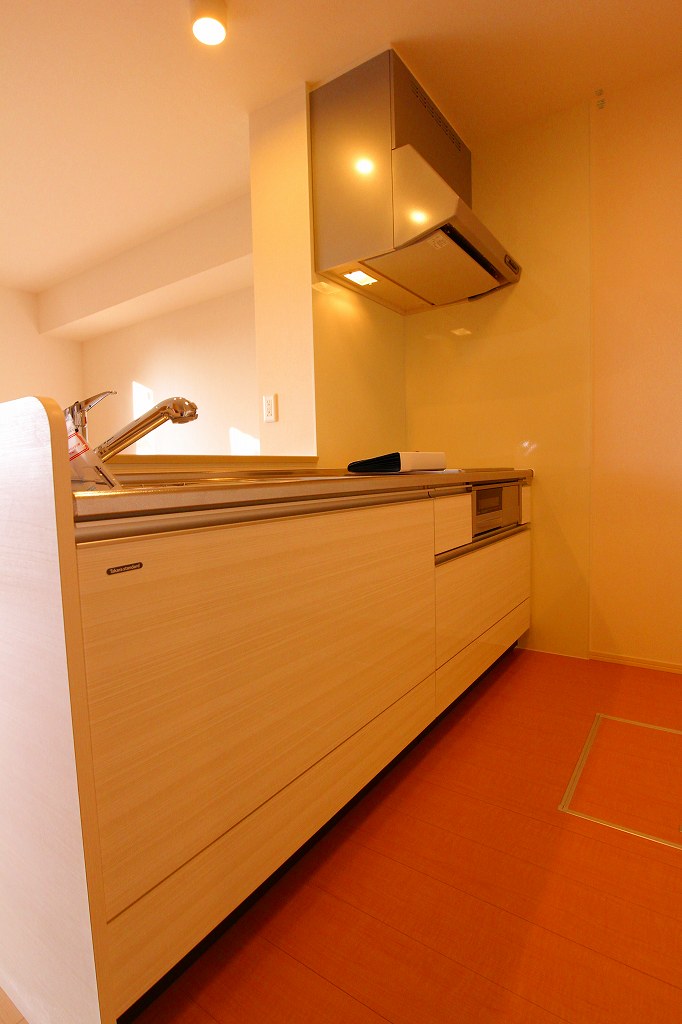 Kitchen. IH cooking heater. System kitchen. 