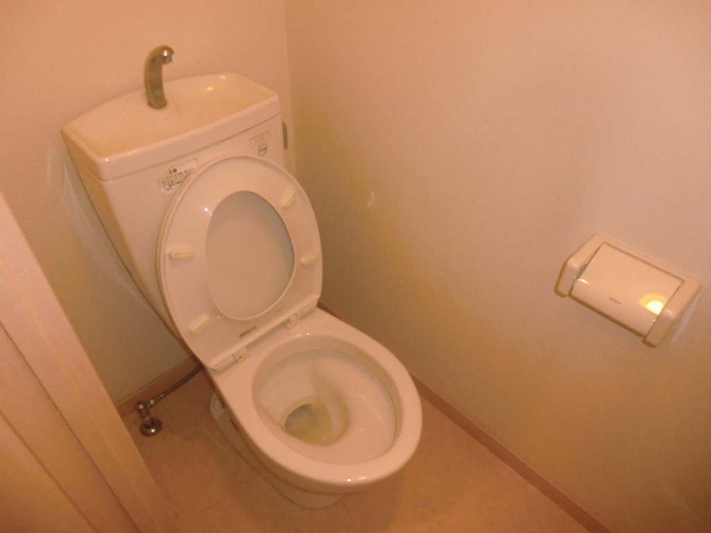 Toilet. TV monitor phone