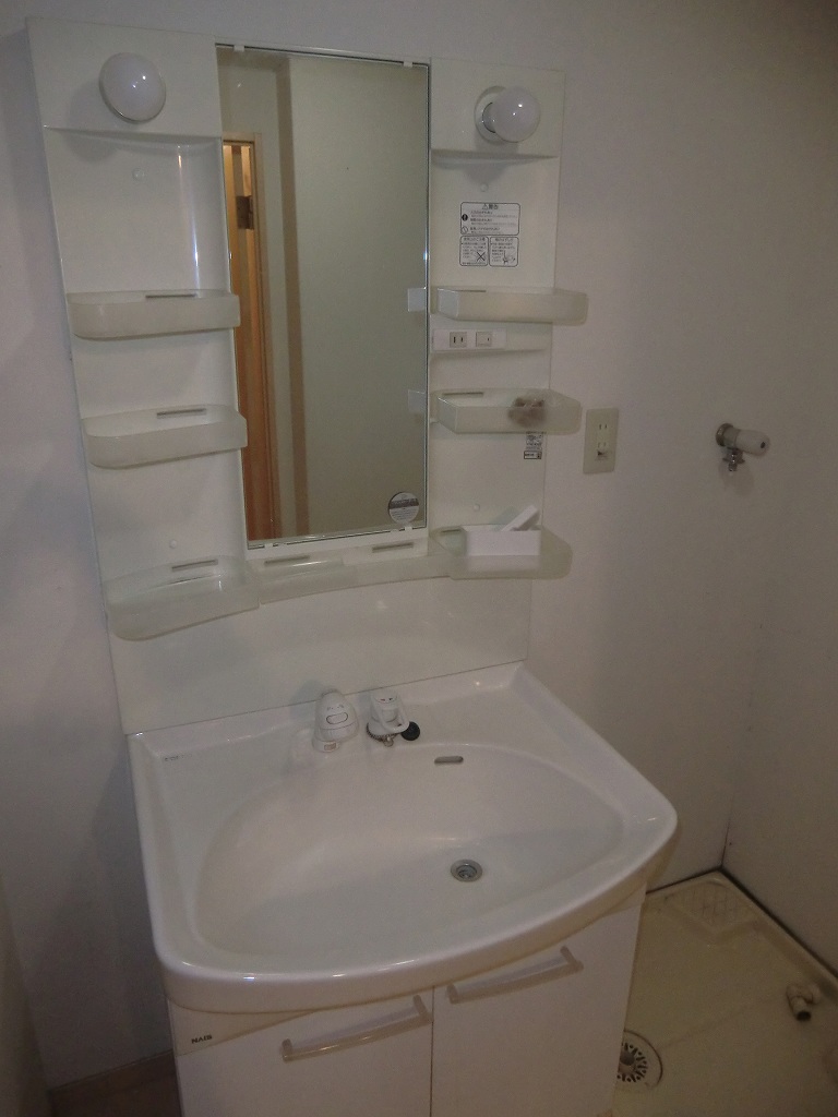 Washroom. Shampoo dresser