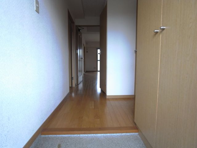 Entrance. It is entrance corridor