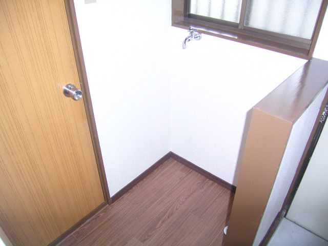 Other room space. Washing machine in the room