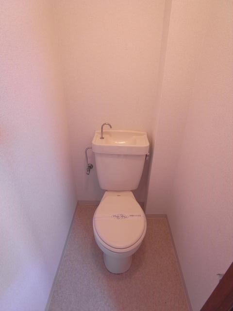 Living and room. Bright room.