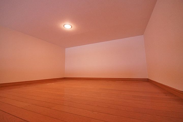 Living and room. Loft (4 Pledge)