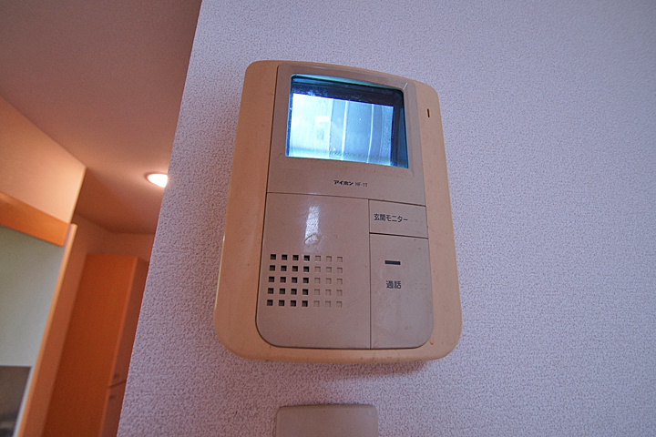Security. Monitor with intercom