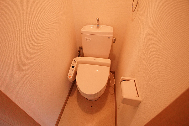 Toilet. Toilet (with washlet)
