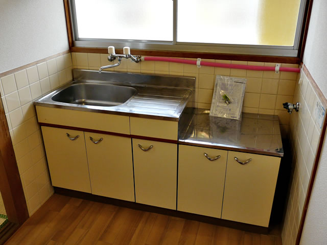 Kitchen. Kitchen (gas stove bring)