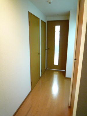 Entrance. Corridor