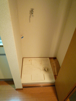 Living and room. Indoor Laundry Storage