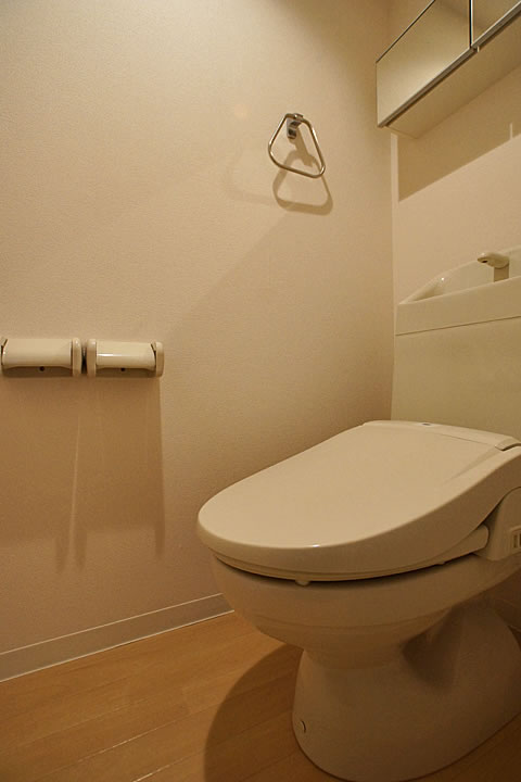 Toilet. Toilet (Washlet)