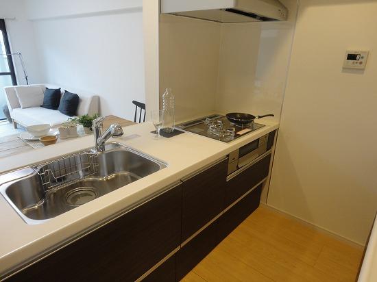 Kitchen. Indoor shooting