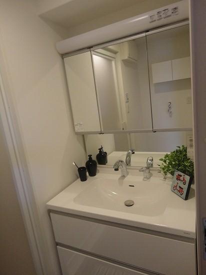 Wash basin, toilet. Indoor shooting