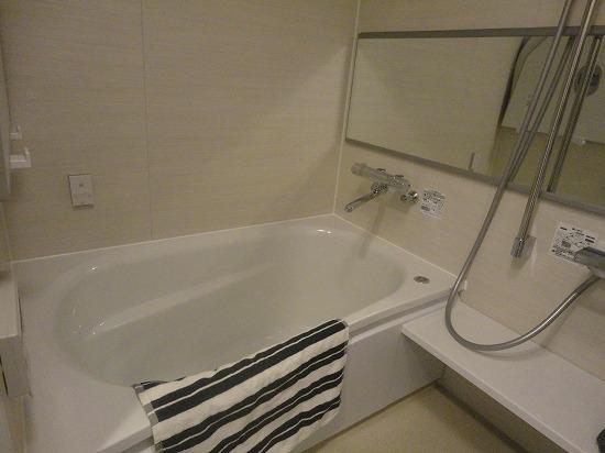 Bathroom. Indoor shooting