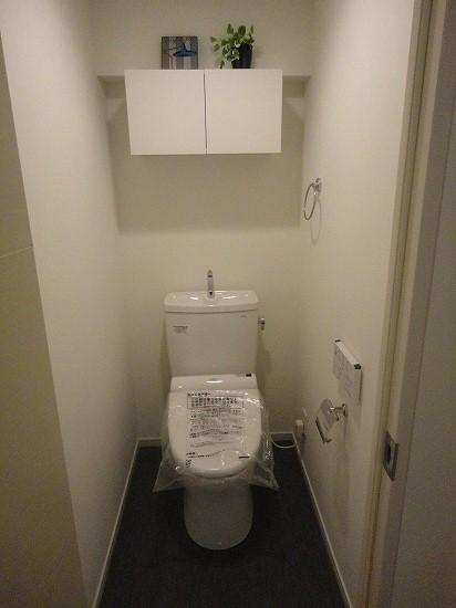 Toilet. Indoor shooting