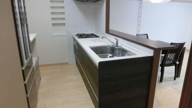 Kitchen. Indoor (10 May 2013) Shooting