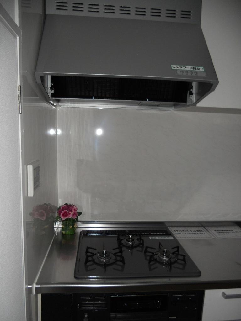 Kitchen. Range hood new!